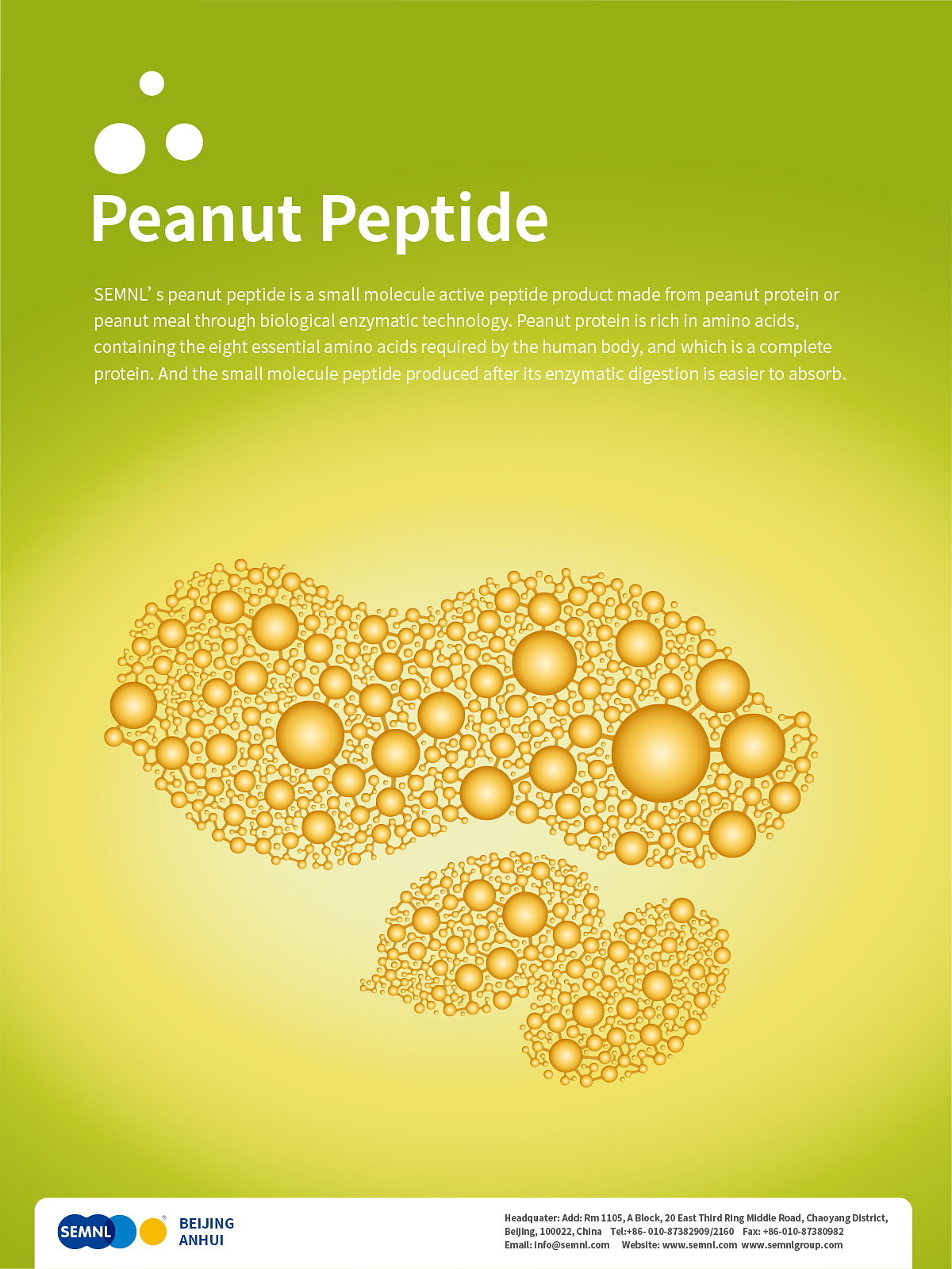 Peanut Peptide