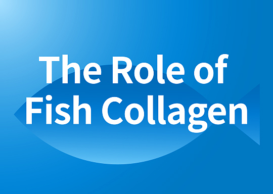 The Role of Fish Collagen