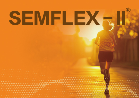 SEMFLEX－II<sup>®</sup></span>